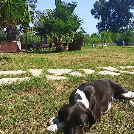 Bed & Breakfast Daidala Life