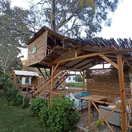 Bed & Breakfast Daidala Life
